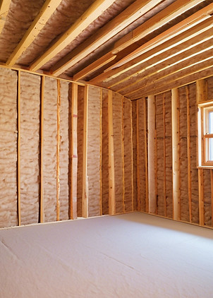 Batt Insulation.jpg