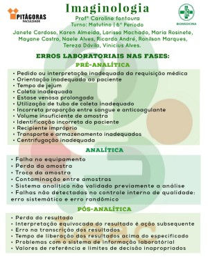 Visualizar
