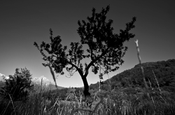 10264466_851194414896309_2340378483318321772_n