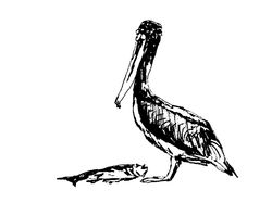 UNPUBLISHED ARTWORK FOR SALE