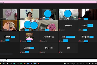 Zoom online workshop in progress.jpg
