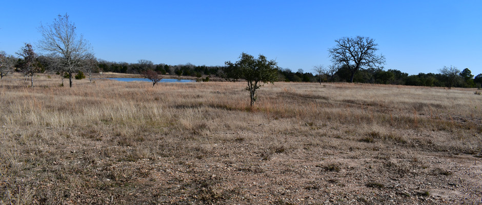 East view of the Lake