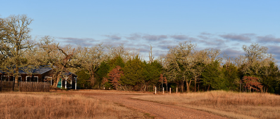 View of the Village from the Entrance