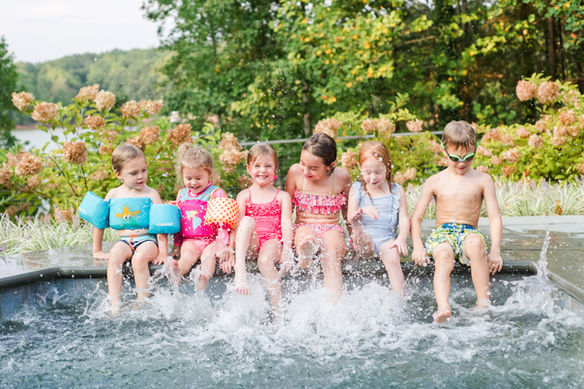 lake and hydrangeas background