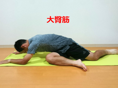 SHOJIの腰痛対策~ストレッチ編~