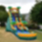19' CaliPalms Wet_Dry (2).png