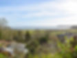 image00012.jpeg