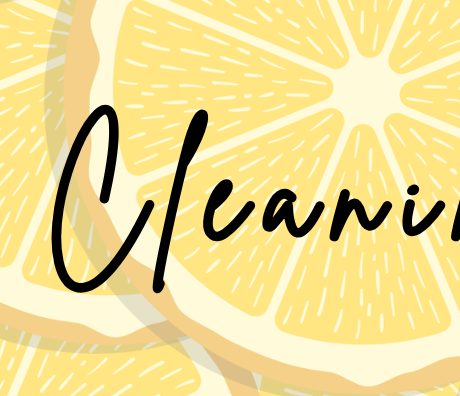 Weekly Cleaning Plan February 24 2025