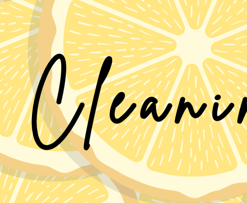 Weekly Cleaning Plan February 24 2025