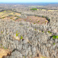 DJI_0519.jpg