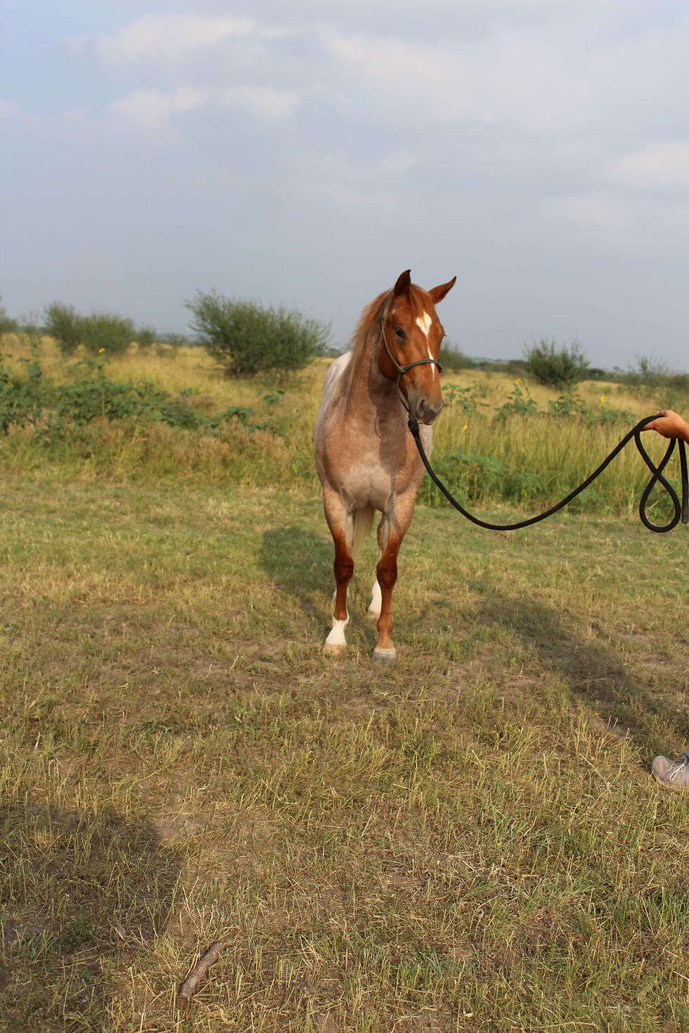 Thumbnail: Check My Star