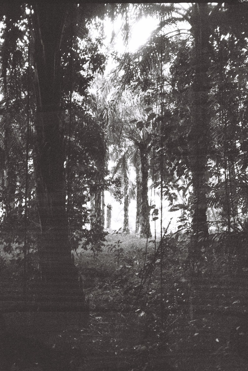 CNV00007