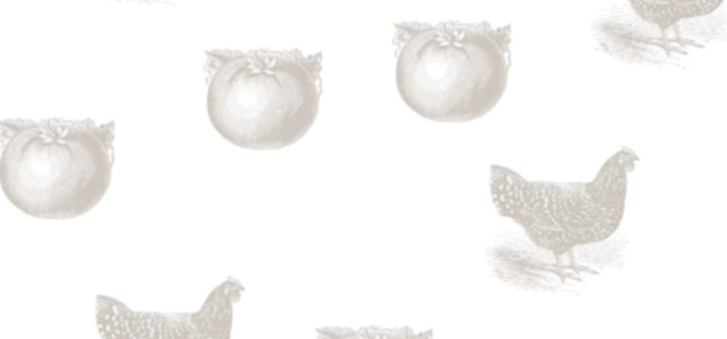 Background2.png
