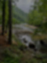 Background2_edited.jpg