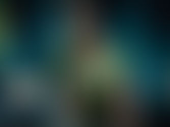 Booi Lauded for Massive Contribution to SA Rugby