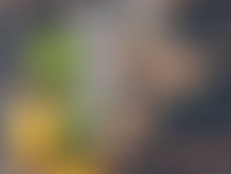 Fight colds and flu with what’s in your fridge: Natural remedies for township families