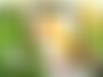 Los Agroinfluencers y el Gran Foro