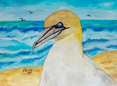 fou de basan aquarelle 9x12