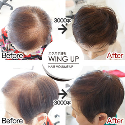 増毛エクステwingup.jpg