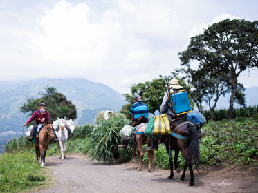 Carrying Heavy Burdens—Together