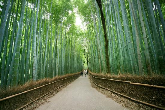 Kyoto 2