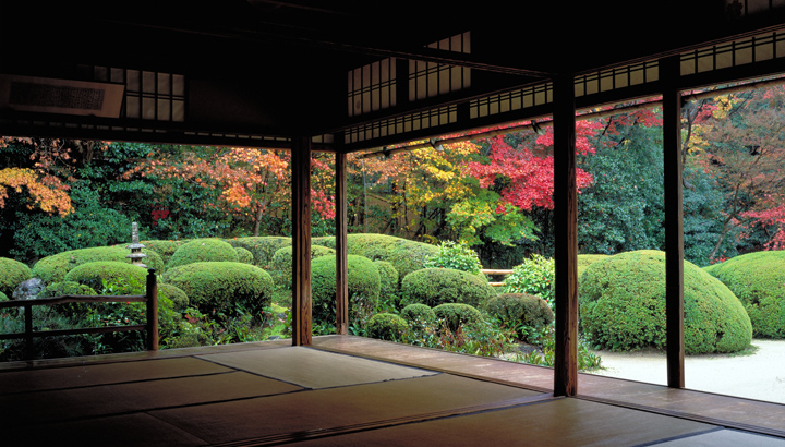 Kyoto 3