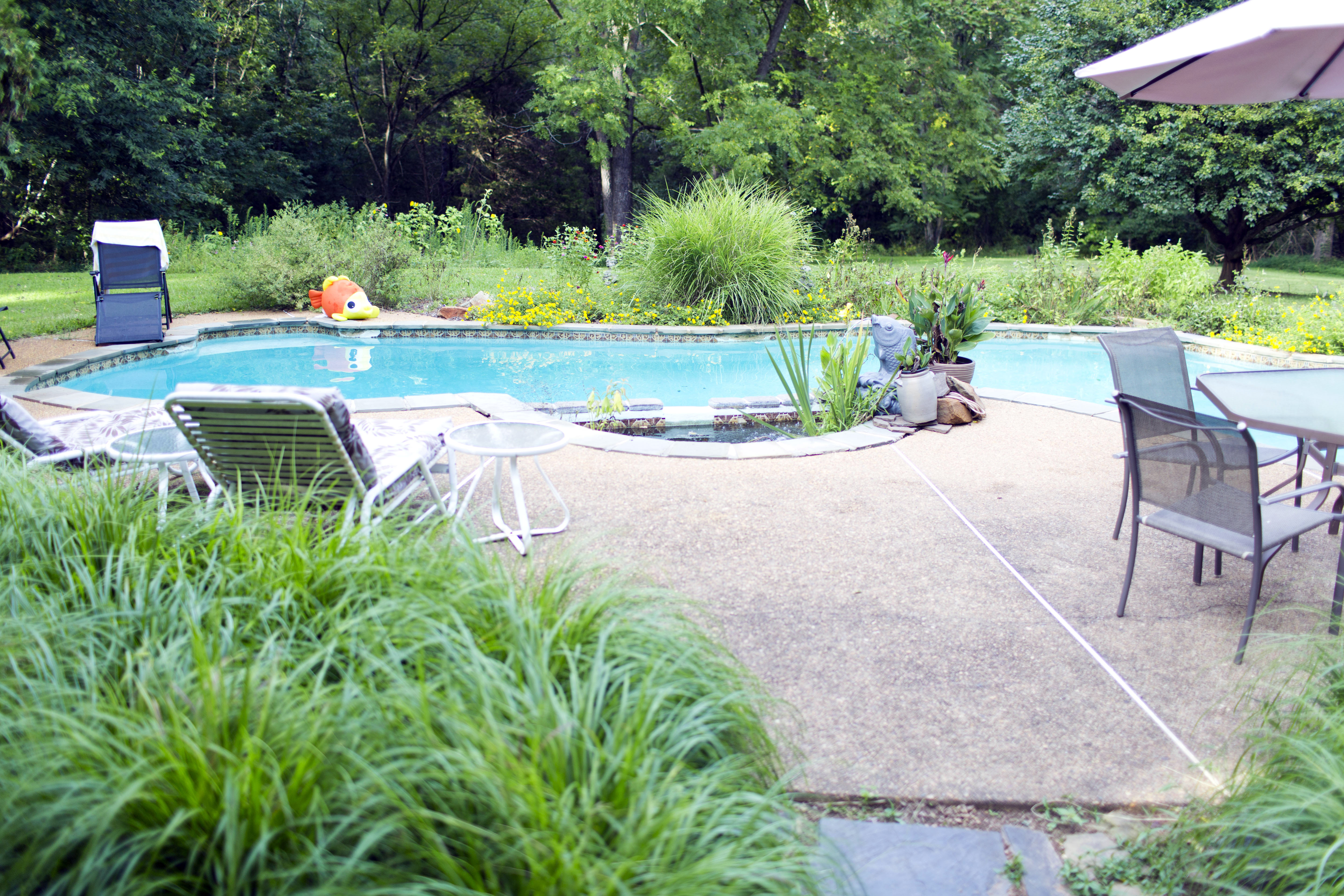 Countryside Bed and Breakfast Culpeper, VA