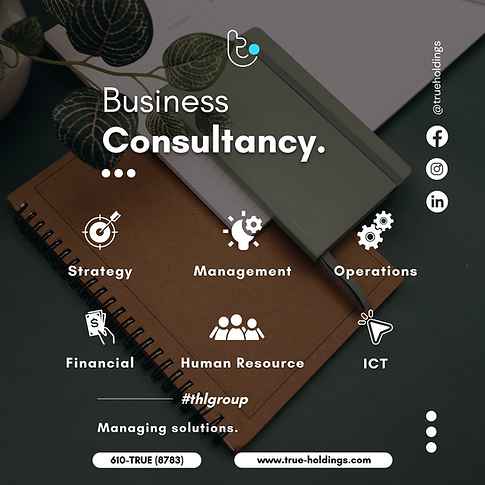 Business Consultancy.png