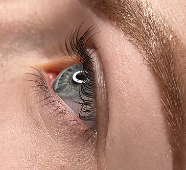 lash lift and tint, 2024, wausau, wisconsin.png