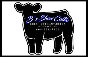B's SHOW CATTLE (1).jpg