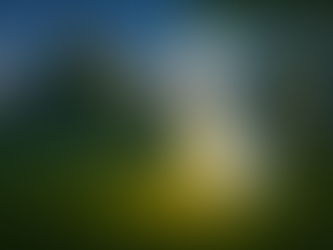 Das Gespenstlein von Riedt und die weisse Blume