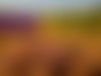 La Farigoule - ein provenzalisches Geheimnis