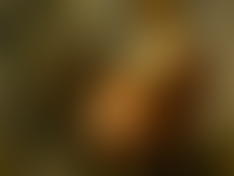 Ein Drache, ein Bär, der Adler und Helvetia