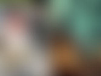 Vom Voodoo Opfer zur BBQ Spezialität