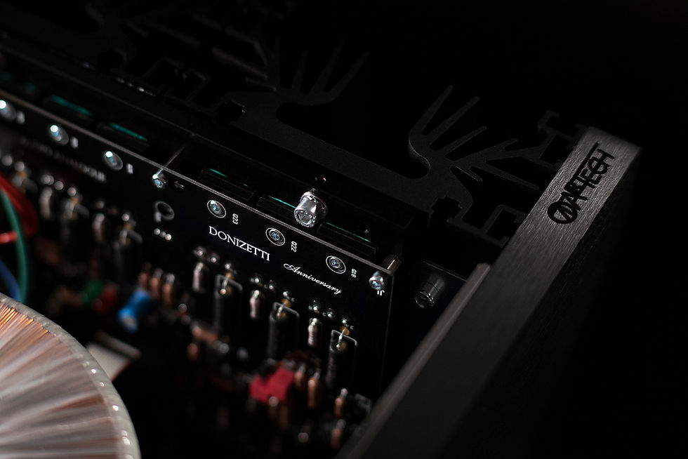 Miniature : Audio Analogue DONIZETTI Anniversary
