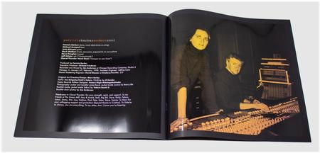 Miniature : Patricia Barber MODERN COOL  2LP 180gr. (Remastered VR900-D2 Edition + Booklet)