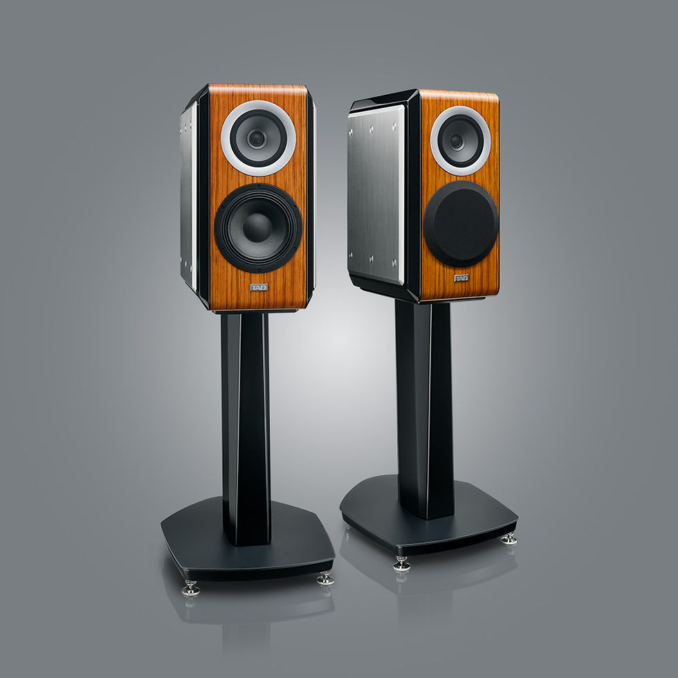 TAD Compact Evolution One TX