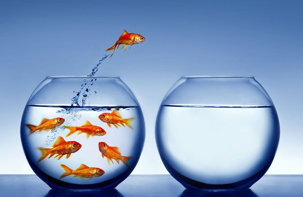 Changement impossible, une question d'économie?