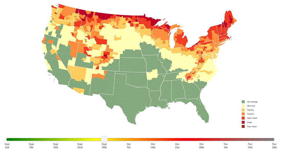 National Map of Peak Foliage
