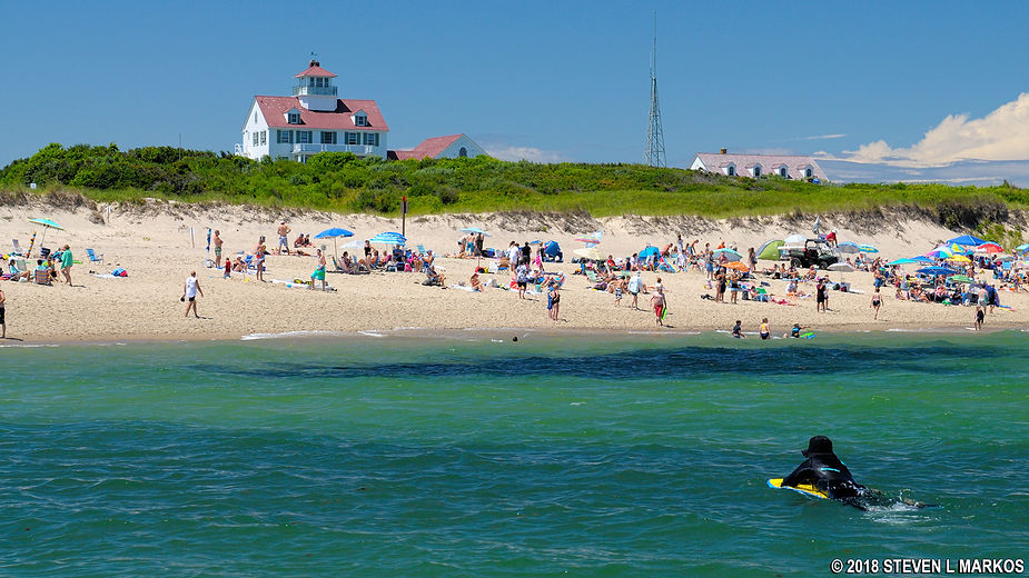 Cape Cod National Seashore: Beach Adventures Await