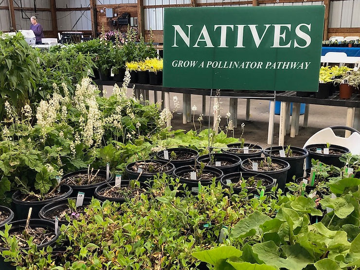 Master Gardeners' Annual Plant Sale