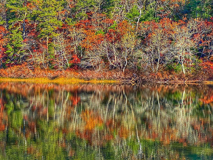Nickerson State Park