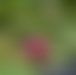 Je n’ai jamais voulu d’enfant, jusqu’à elle