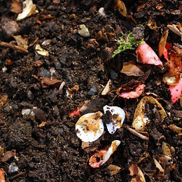 incorporacion-materiaorganica-10