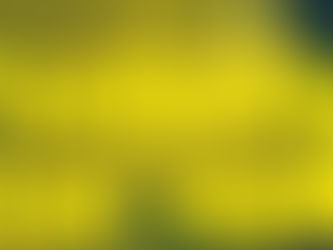 Spisovatelé prodávali knihy na pomoc ukrajinským kolegům