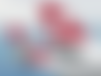 Swiss connecting Sri Lanka with Europe again