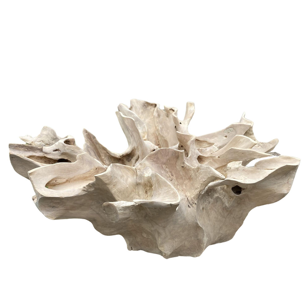 Thumbnail: 39" White Bleached Coffee Table Teak Root, One-of-a-kind functional work of art