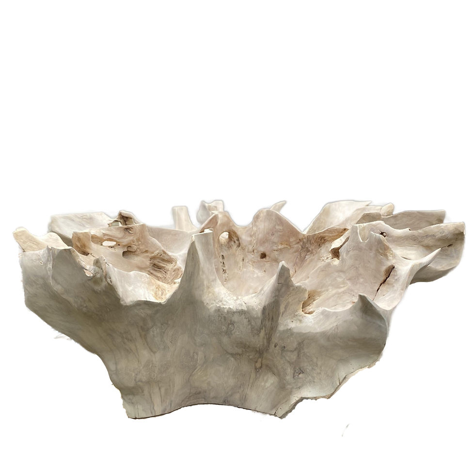 Thumbnail: 39" White Bleached Coffee Table Teak Root, One-of-a-kind functional work of art