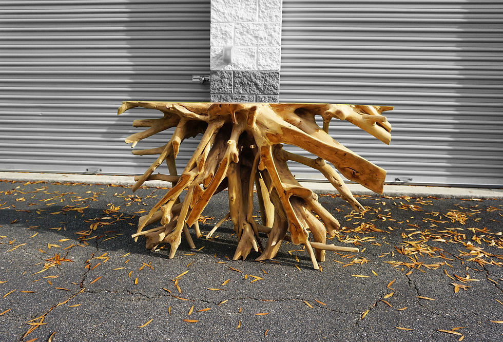 Thumbnail: 54" Elegant Exotic Console Table Teak Root wood, One-of-a-kind functional