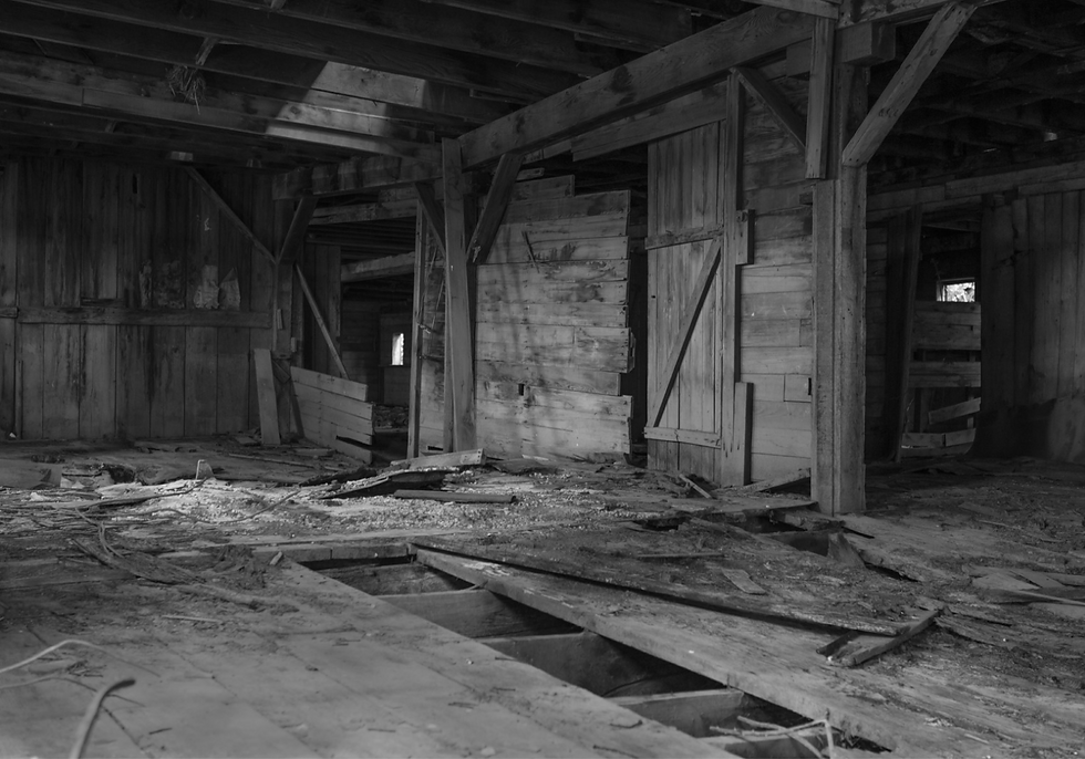 Deadfall